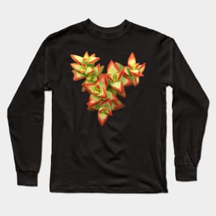 Suculenta Crassula conjuncta Long Sleeve T-Shirt